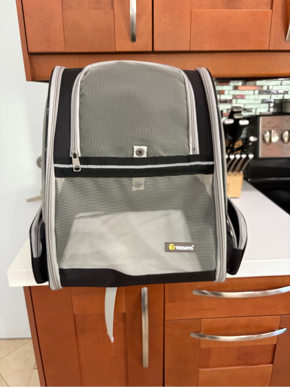 Texsens Gray & Black Mesh Pet Carrier Backpack